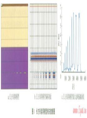 碳酸鹽巖縫洞儲層地震反射波特征及其與油氣的關系