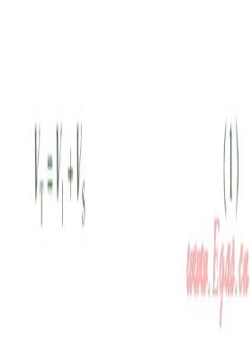 某次高壓燃氣管道的外防腐檢測