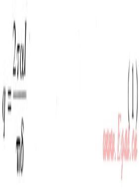 真空管太陽(yáng)能集熱系統(tǒng)溫度場(chǎng)、速度場(chǎng)模擬