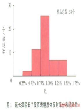 陸相頁巖氣的地質(zhì)研究進展及亟待解決的問題