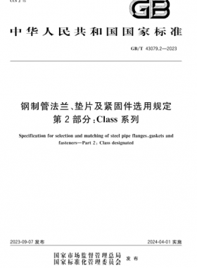 鋼制管法蘭、墊片及緊固件選用規(guī)定 第2部分：Class系列國標(biāo)/T 43079.2-2023