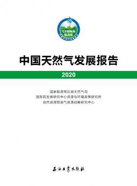 2020中國天然氣發(fā)展報告（含2017、2018、2019、2020）